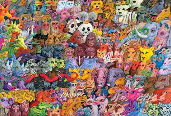 Matt Furie Animal Planet Noah