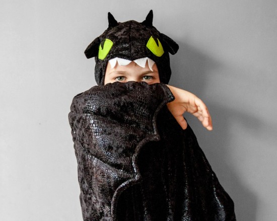  How to Train Your Dragon kids' costume