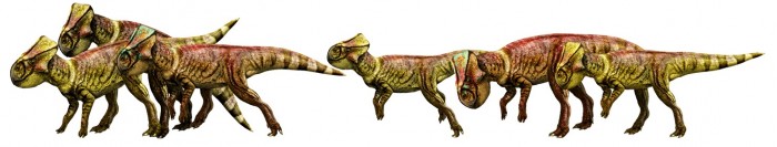 Jurassic World dinosaurs Microceratus