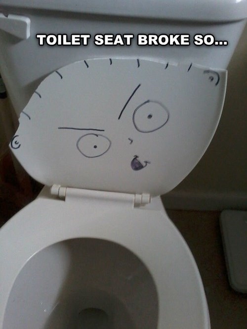 Broken toilet seat