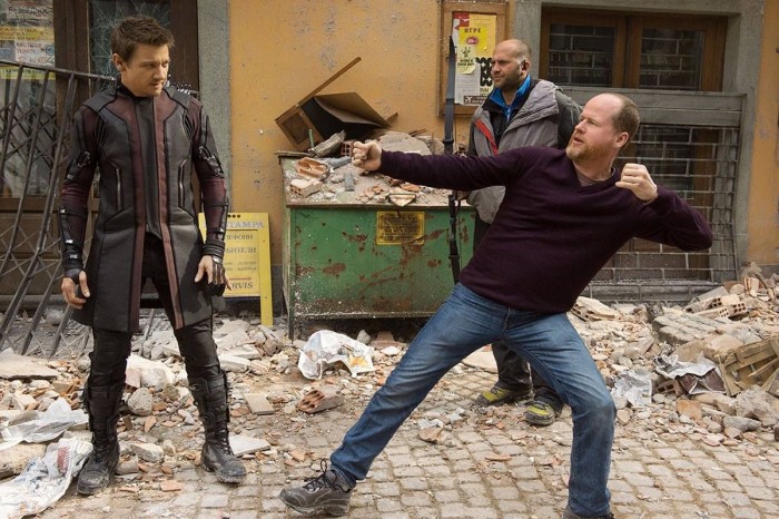 Hawkeye Avengers: Age of Ultron