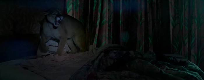 mountain lion in The Neon Demon