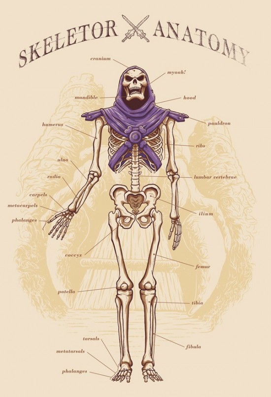 Adriano Alves – Skeletor Anatomy