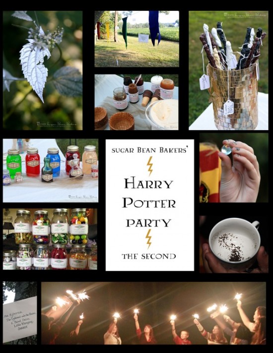 Harry Potter Party