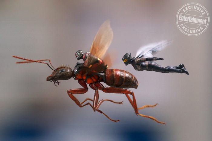 antman and the wasp 1