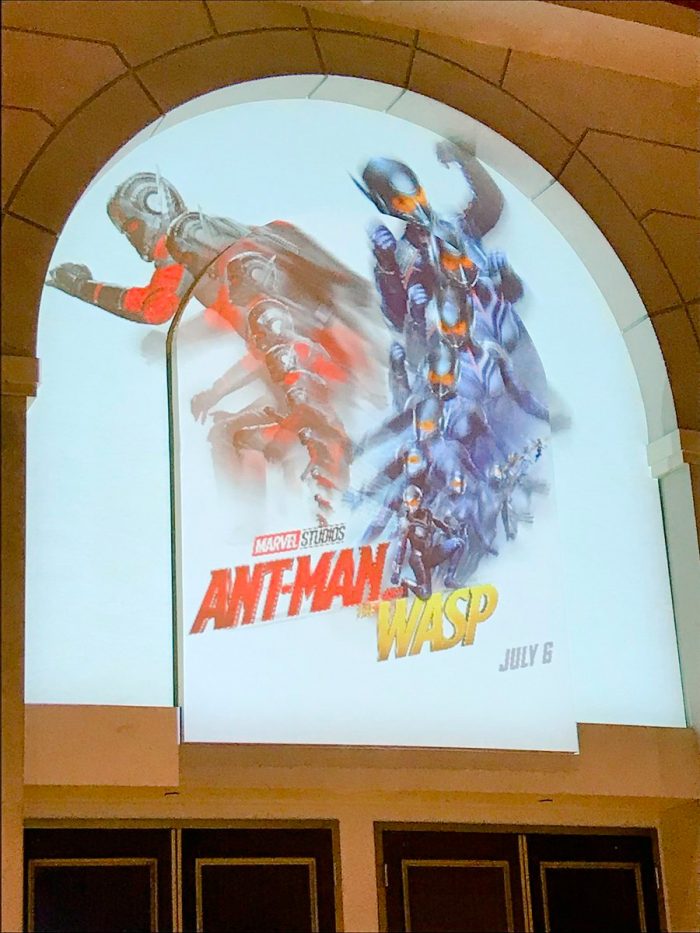 Ant-Man and the Wasp Projection Poster