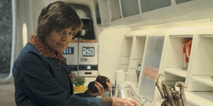 aunt beru