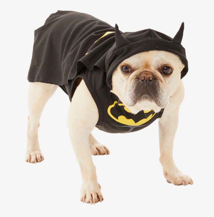 Batman Dog Costume