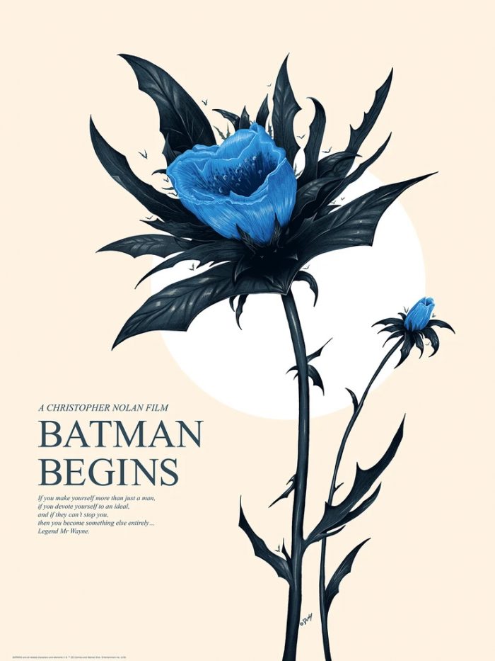 Batman Begins by Doaly