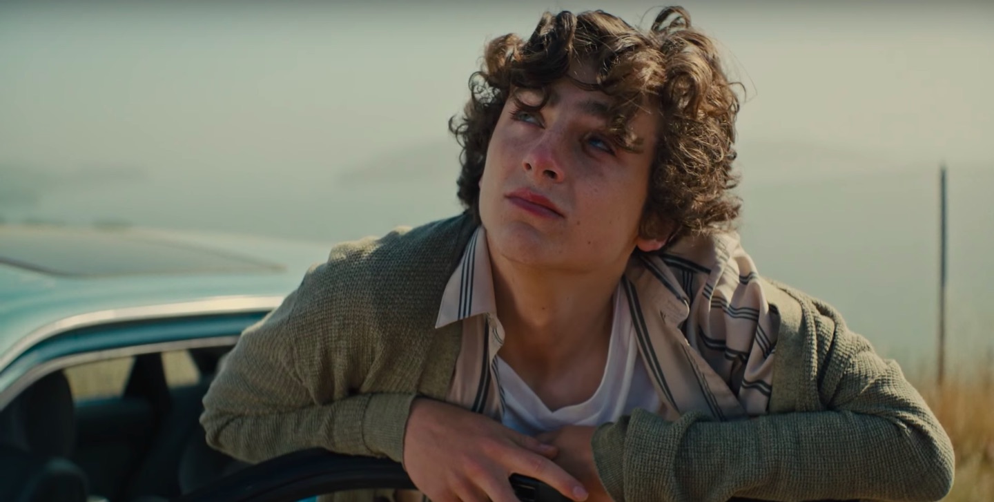 'Beautiful Boy' Trailer Timothée Chalamet Gives Another OscarWorthy(02)