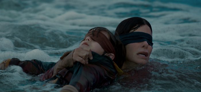 bird box review