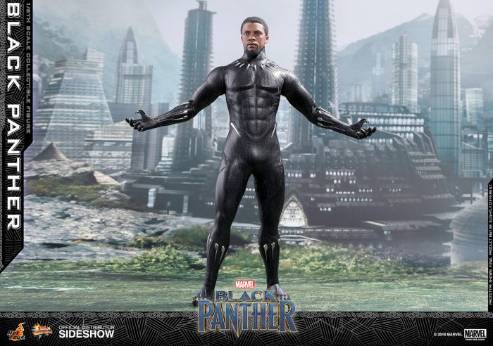 Black Panther Hot Toys Figure