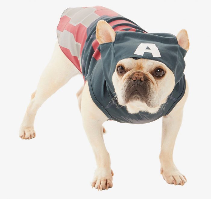 Captain America Dog Costume