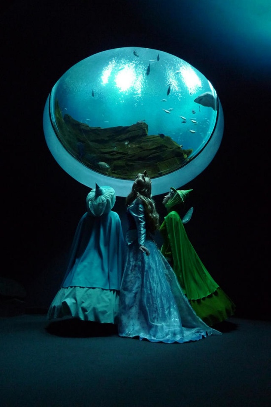 disney cosplay aquarium