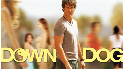 down-dog-amazon