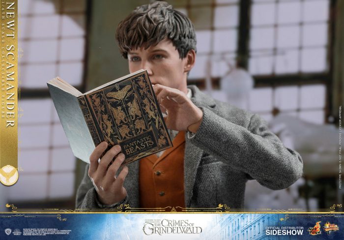 Hot Toys Fantastic Beasts Figures