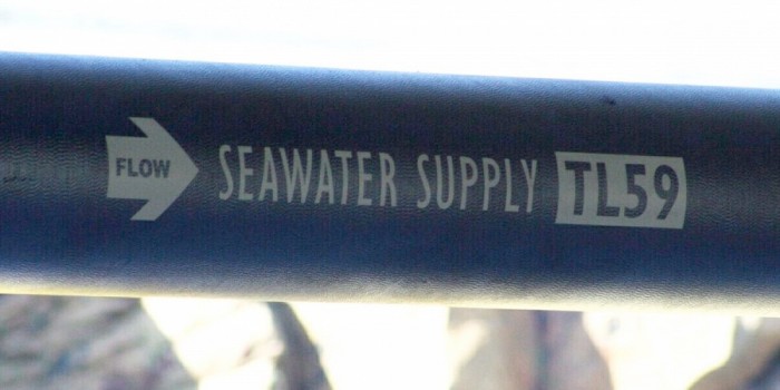 findingdory-seawatersupply-pipe