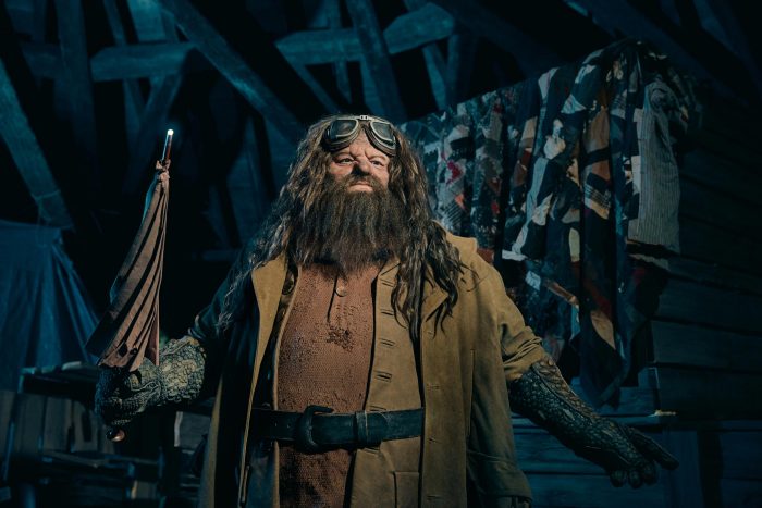 Universal Studios Animatronic Hagrid