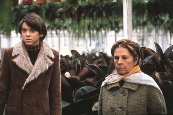 Harold and Maude