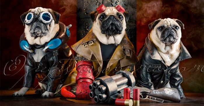 hellboy-pugs