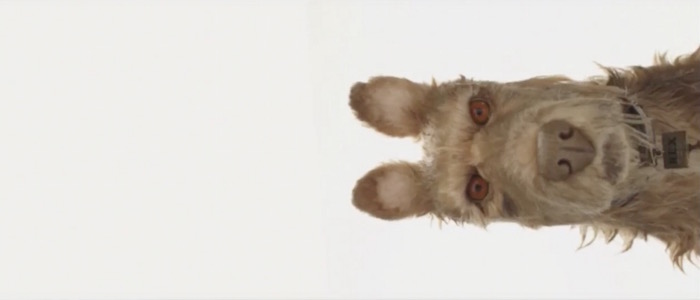 Wes Anderson S New Stop Motion Movie Is Titled Isle Of Dogs Full