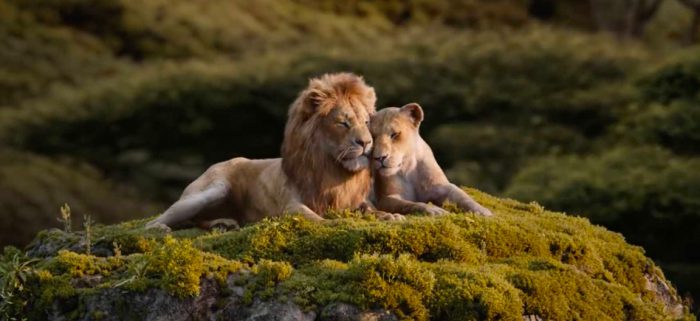 live-action Lion King shot