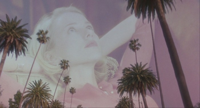 mulholland-drive-diane-palm-trees