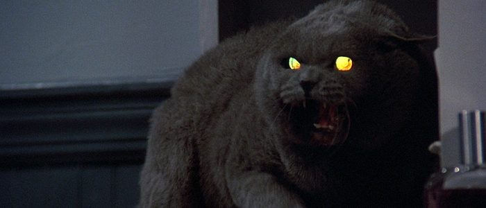 pet sematary remake screenwriter