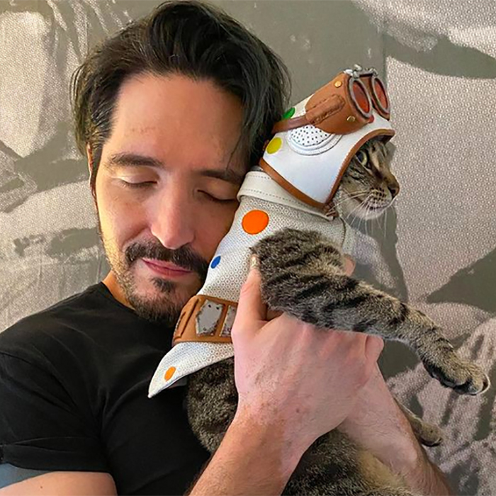 Polka-Dot Cat and David Dastmalchian