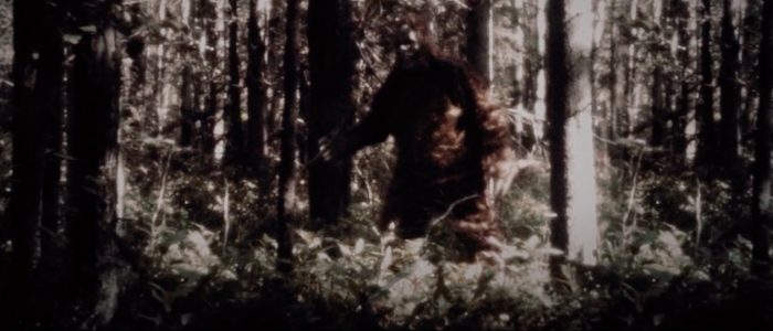 sasquatch trailer