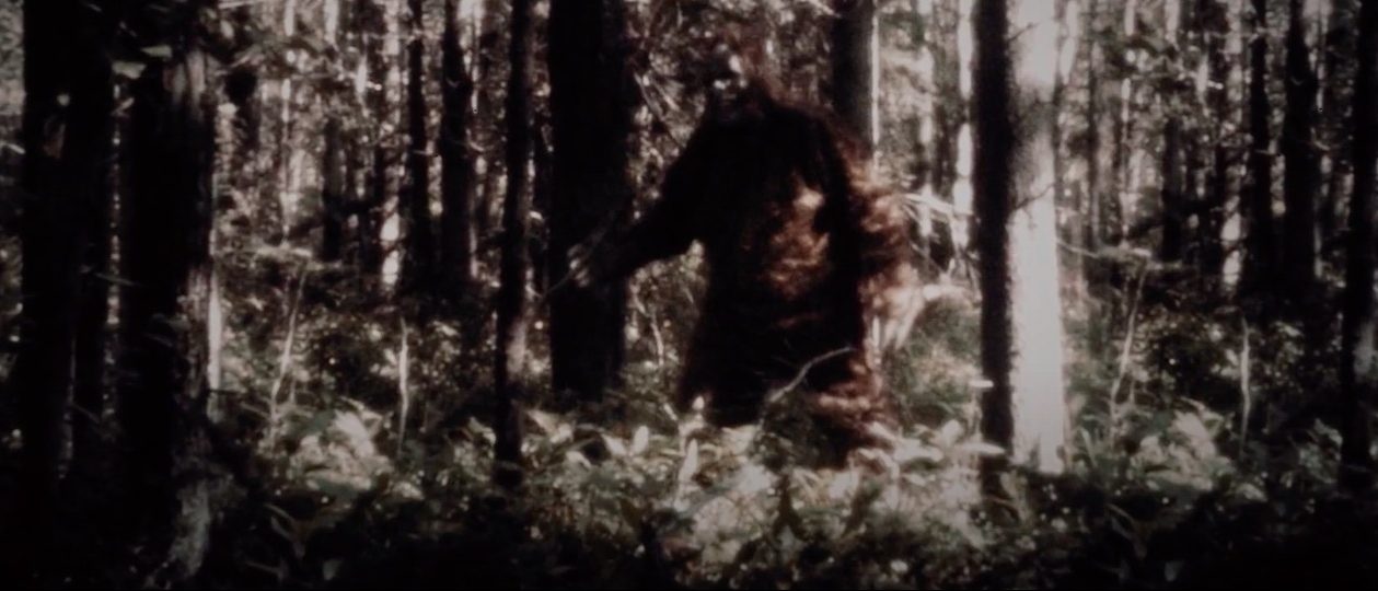 Sasquatch Trailer: Duplass Bros Docuseries on Bigfoot and Murder – /Film - Vimarsana News