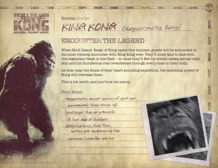 skull island reign of kong