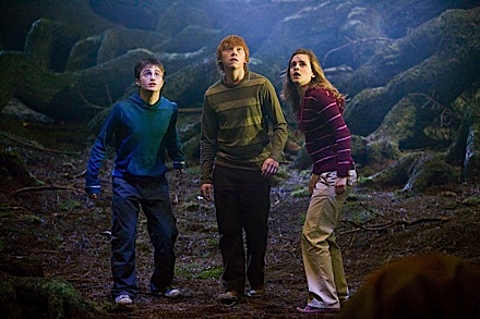 Harry Potter and the Order of the Phoenix