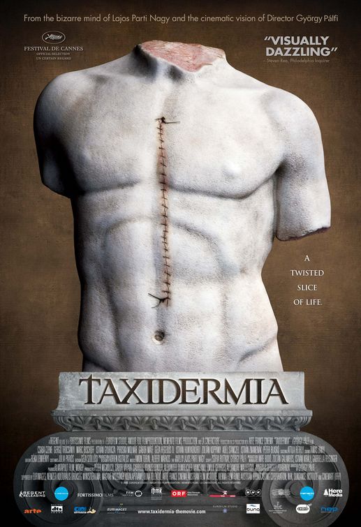 taxidermia