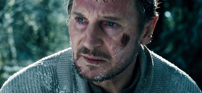 Hard Powder - Liam Neeson