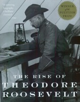 The Rise of Theodore Roosevelt