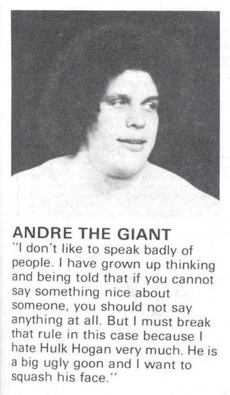 andre the giant hulk hogan