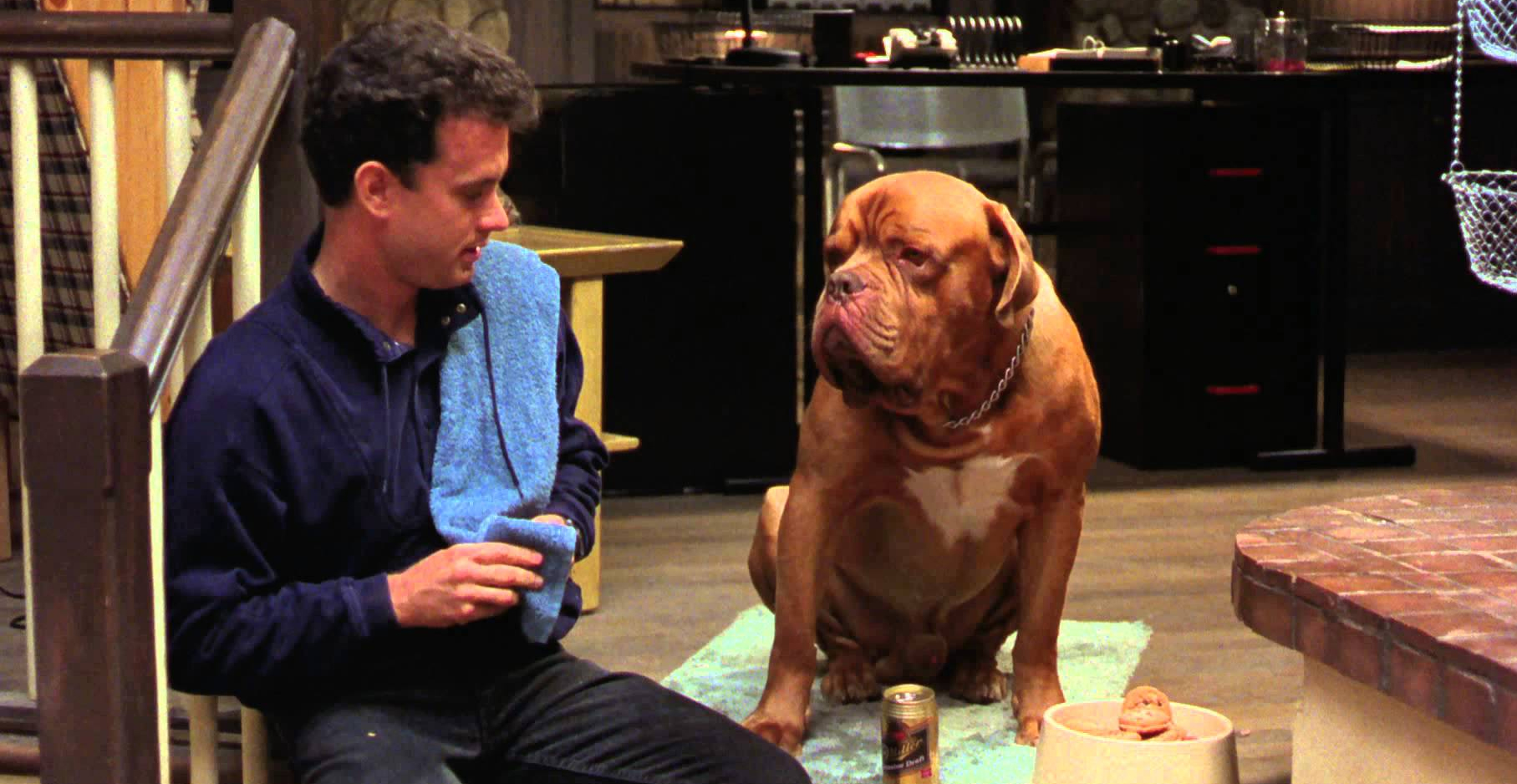 what kind of dog is hooch on turner and hooch