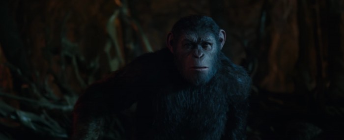 war for the planet of the apes ceasar in the hidden fortress