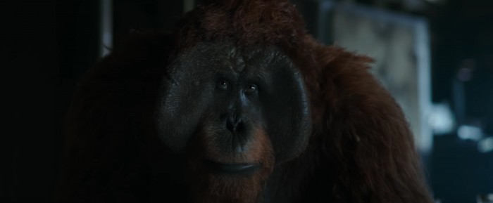 war for the planet of the apes maurice