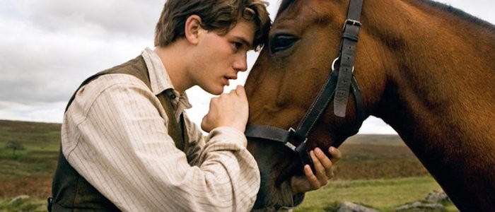 war horse