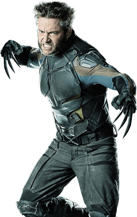 wolverine screen