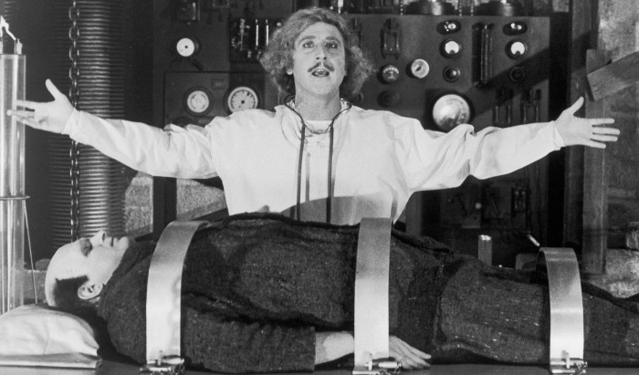 Young Frankenstein