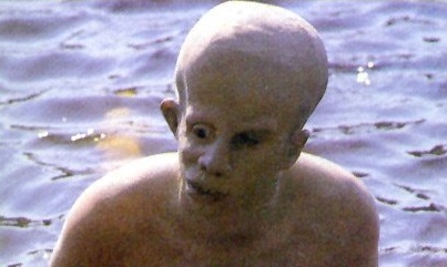 Ari Lehman as Young Jason Voorhees