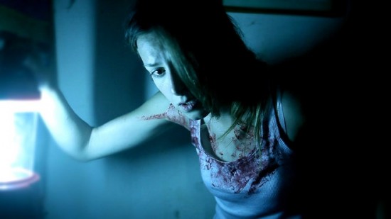 The Silent House